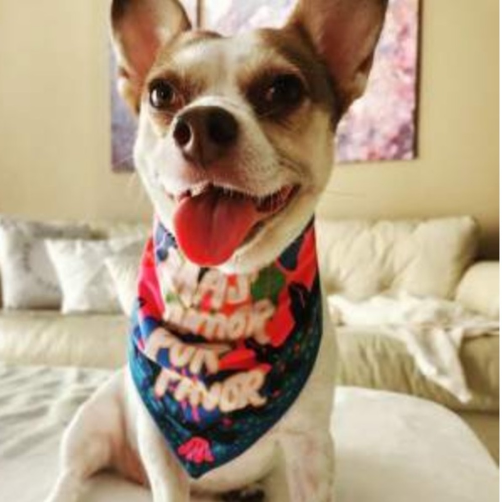 🥳HP!🥳 🌺 NWT Vibrant Floral Pet Bandana 🌺 - Picture 7 of 10